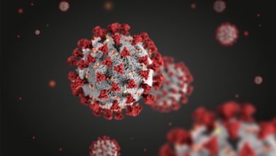 Photo of Wirus SARS-CoV-2 może namnażać się w ludzkim łożysku