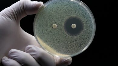 Photo of Związki złota przyszłością w rozwoju antybiotyków